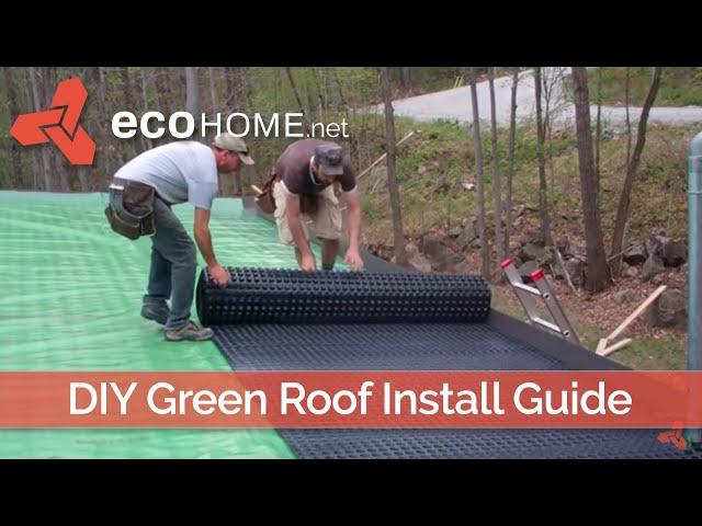 DIY living green roof installation