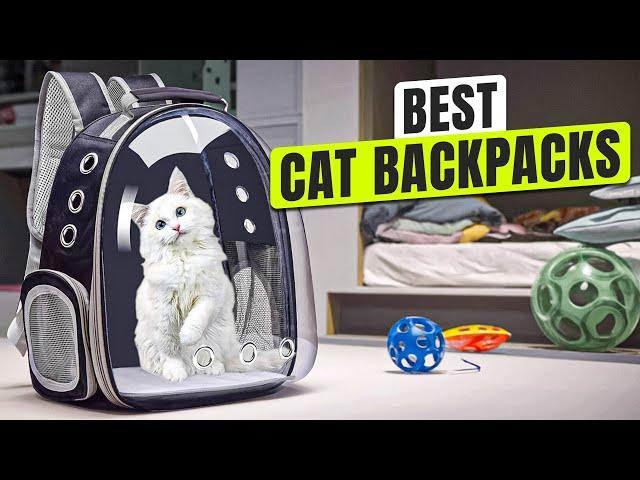 3 BEST Cat Backpacks