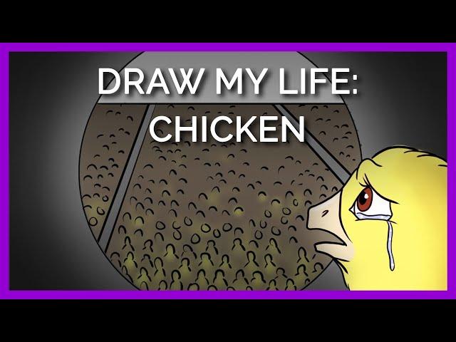 Draw My Life: Hen’s Life in the Egg Industry