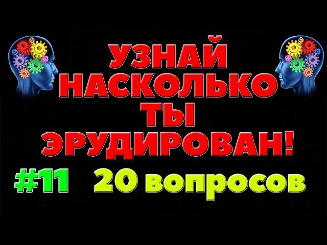 УЗНАЙ НАСКОЛЬКО ТЫ ЭРУДИРОВАН (ТЕСТ) - выпуск 11