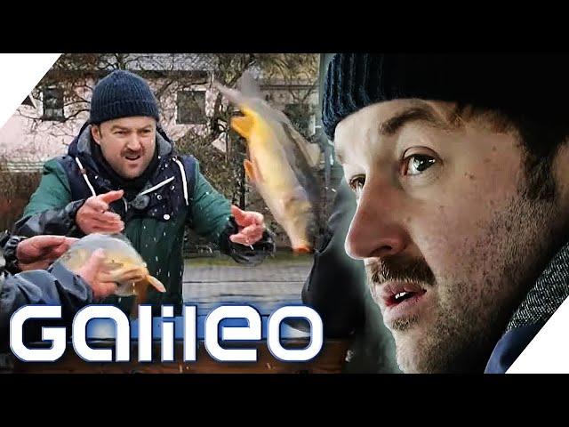 40 Tonnen Karpfen pro Jahr! 2 Tage in der Karpfenzucht | Galileo | ProSieben