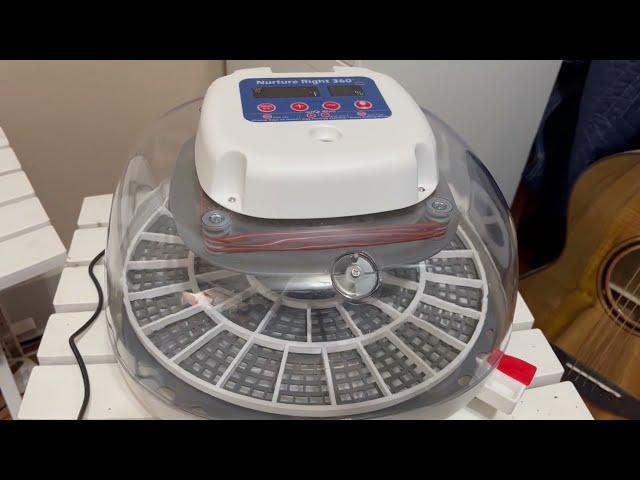 How to Set Up the Nurture Right 360 Quail Egg Incubator