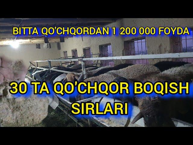 QO'CHQOR BOQISH SIRLARI