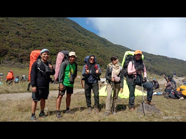 indahnya alun-alun Surya Kencana | Keong Mrambat to Gunung Gede-Pangrango, via Putri lintas Cibodas