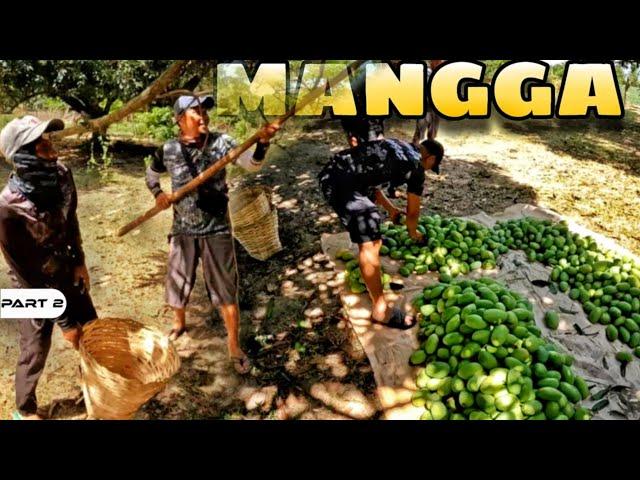 P2 - Dumayo at Nakiani sa Manggahan - EP1747