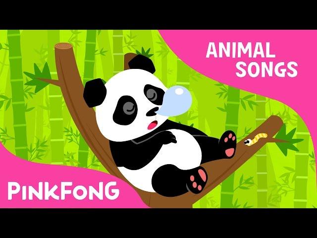 Ni Hao Panda | Panda | Animal Songs | Pinkfong Songs for Children