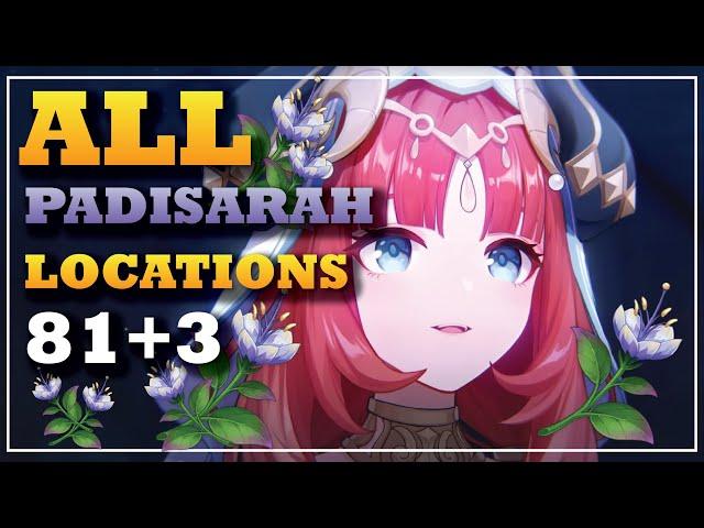 All 81 Padisarah Location | Detailed, Fast, and Efficient Route | Nilou | Genshin Impact