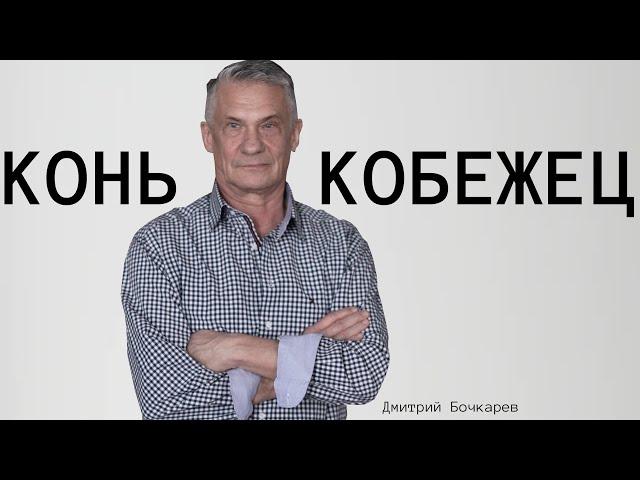 Дмитрий Бочкарев: в спорте самое трудное - это ждать