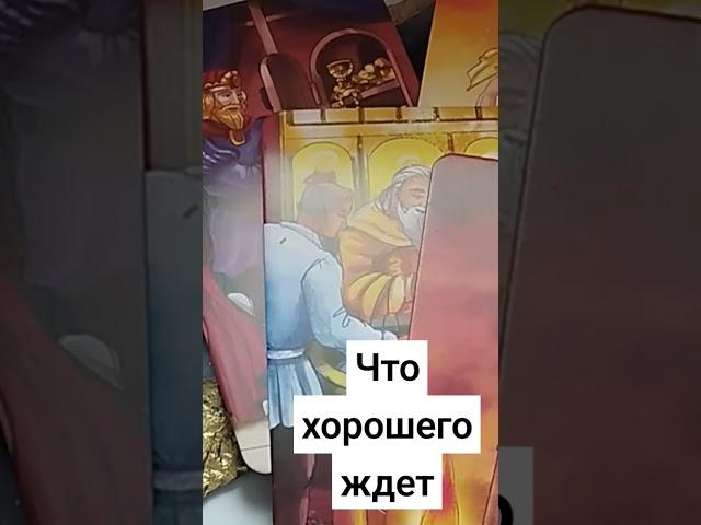 Что ожидать от него #таро #чтобудет #отношения #тарорасклады #tarot