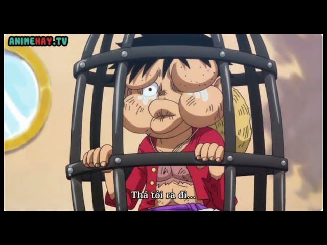 Mức truy nã mới của băng Mũ Rơm || One Piece Series