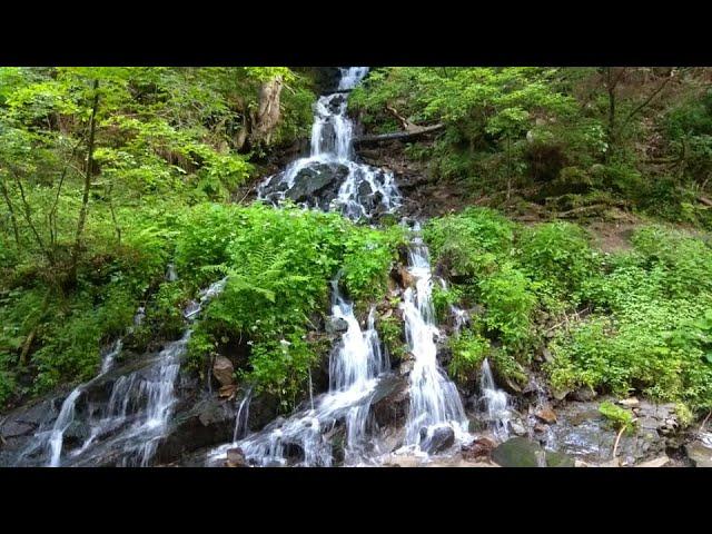 Водоспад Дівочі сльози в Яремче