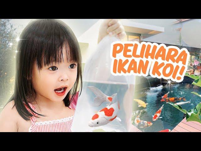 YUKA-CHAN PELIHARA IKAN HIAS LUCU! | vlog