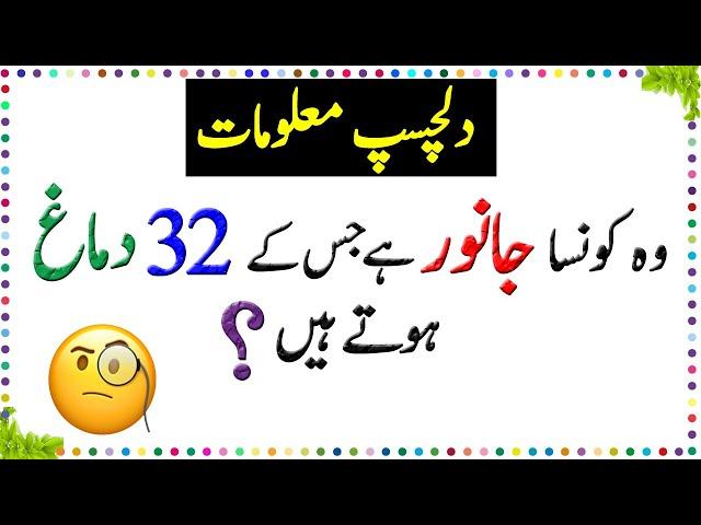 Paheliyan In Urdu - General Knowledge Questions And Answer -  Facts About Animals Brain - Sky Ways