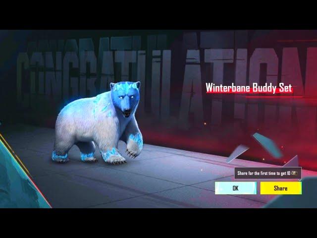 Hola Buddy Crate Opening Pubg| Hola Buddy Lucky Spin Pubg| Grizzly Bear Buddy | Winterbane Buddy Set