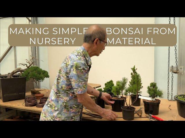 Making Simple Bonsai From Nursery Material