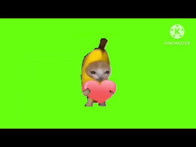 Banana Cat Green Screen