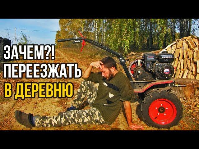 Зачем переезжать в деревню? 8 причин.