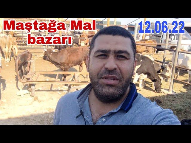 Maştağa Mal bazarı 12.06.22#mubarizemintv #mastagamalbazari #mastagaqoyunbazari