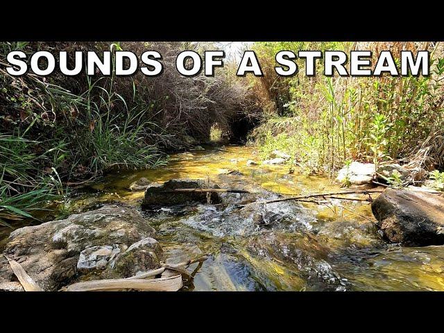 Sounds of a stream - play on a loop for sounds of nature