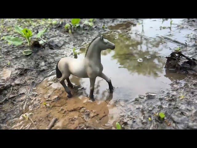 A Horse story/Part 2/ Schleich/