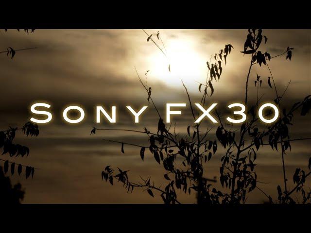 Sony FX30 Footage