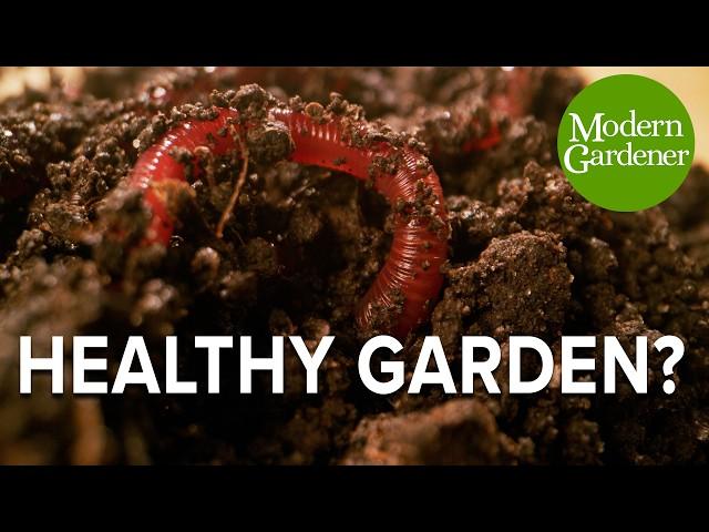 Biodiversity in Your Garden