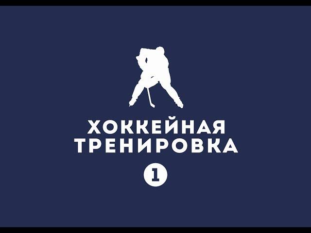 Хоккейная тренировка