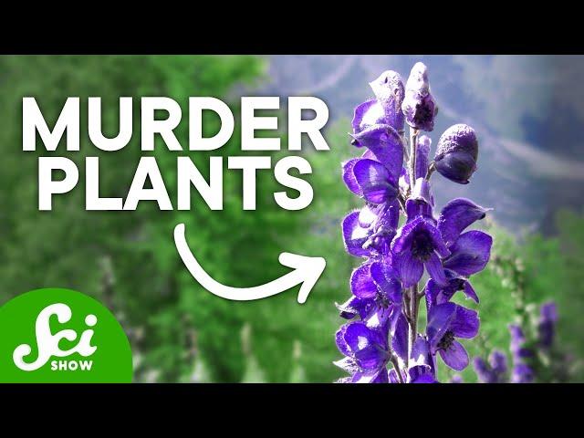 The Top 10 Deadliest Plants (They Can Kill You!)