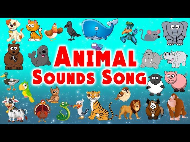 Animal Sounds Song | Animal sounds for Kids | LittleKidsTV