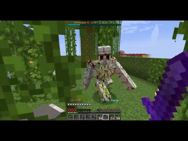 Levelling up the defense skill by fighting against iron golems - Aventura SMP Minecraft Server