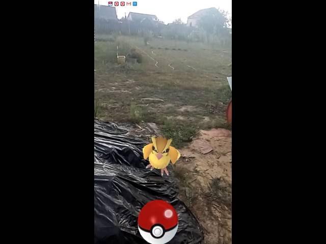 Как ловить покемонов с приманкой - incense. Как работает incense в Pokemon GO.