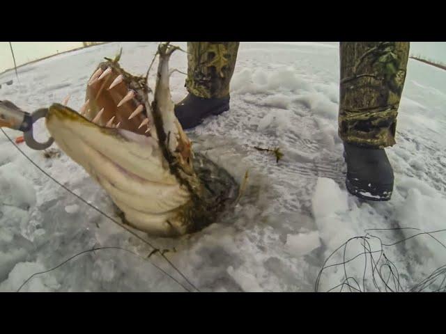 Lucky Fisherman Caught Something Incredible