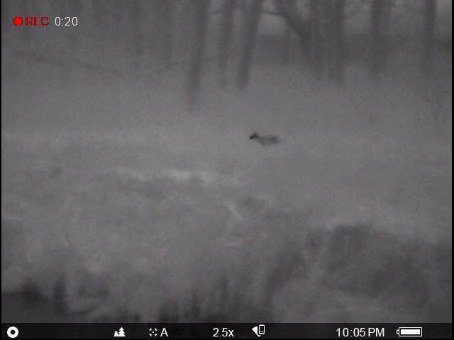 12/1/17 Coyote Miss