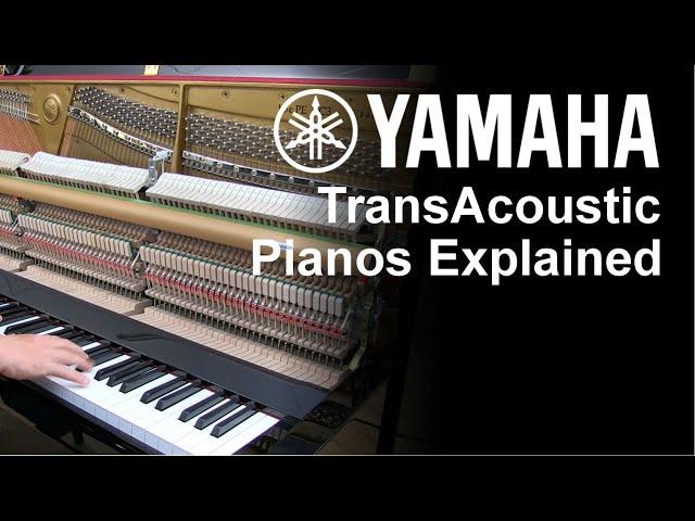 What Is A Yamaha TransAcoustic Piano? A Clear and Simple Explanation | Bonners Piano Centre