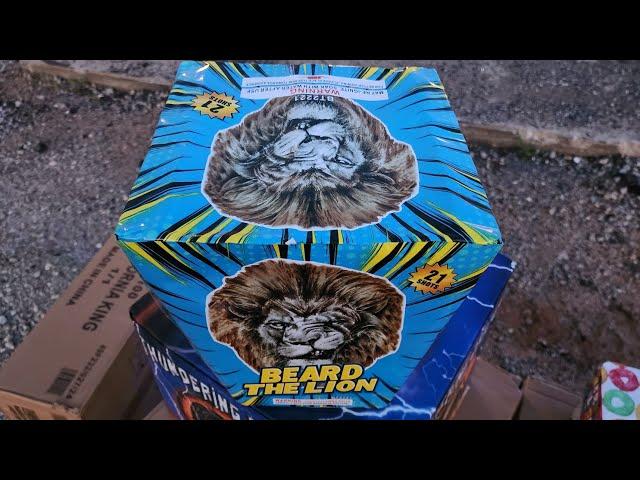 Beard the Lion 21 shots Firework