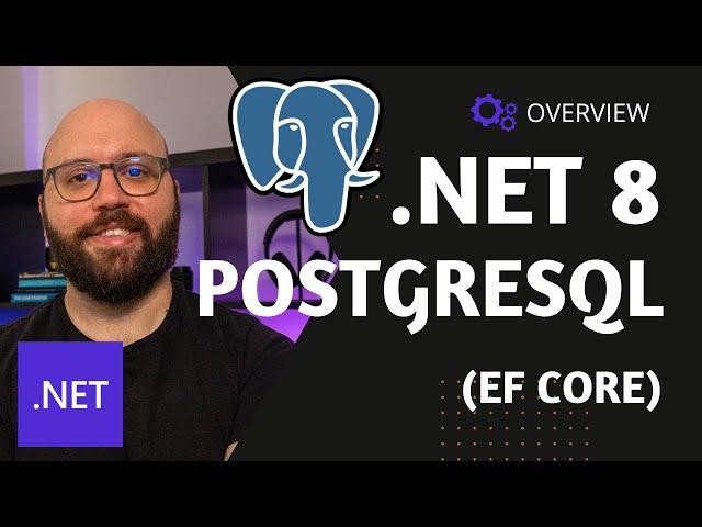 .NET 8    - ASP.NET Core PostgreSQL integration