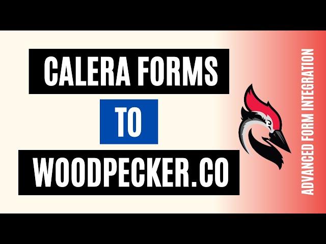 Integrate Caldera Forms To Woodpecker.co| 2 Minutes Solution