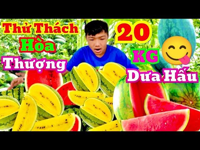 Thử Thách Hòa Thượng Ăn 20Kg Dưa Hấu Lai Vàng Đỏ Thắng Sẽ Được Thưởng 1.5 Triệu