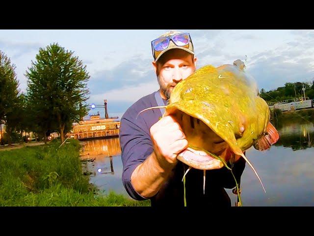 BANK Fishing For GIANT Flatheads DOWNTOWN! (Big fish)