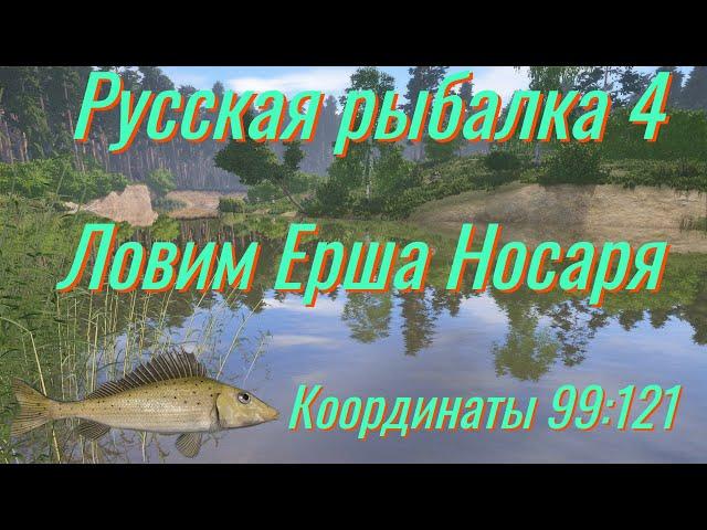 Русская рыбалка 4 • Вьюнок, трофейный Ёрш-Носарь • Фарм