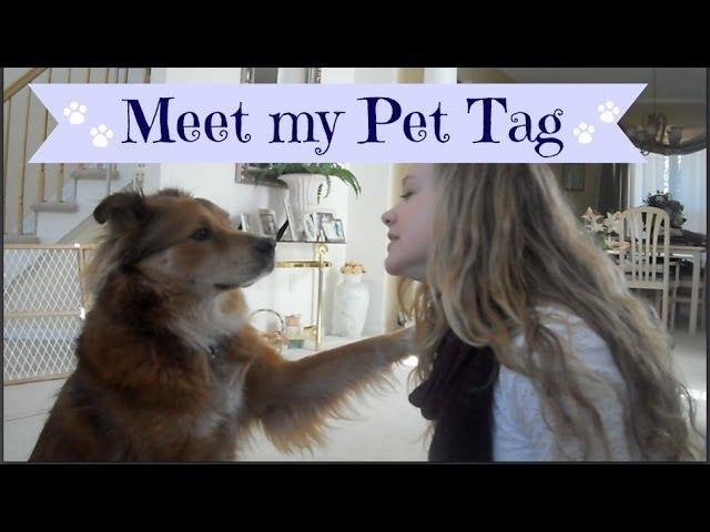 MEET MY PET TAG