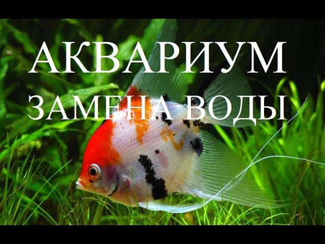 АКВАРИУМ! БЫСТРАЯ ЗАМЕНА ВОДЫ В АКВАРИУМЕ С РЫБКАМИ!