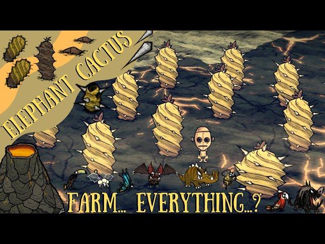 Don't Starve Shipwrecked Guide: Elephant Cactus - Mechanics, Farming Ideas And More!