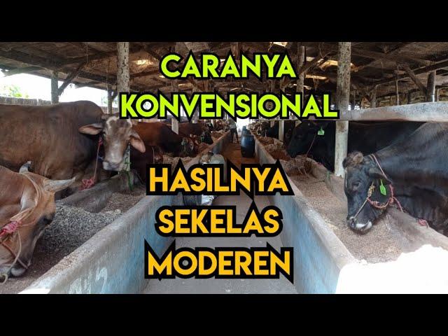 Pengelolaan Konvensional Tapi Hasilnya Sekelas Pengelolaan Modern