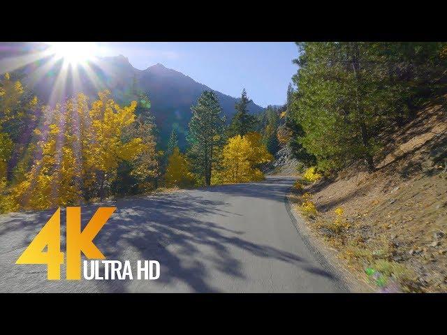 4K Scenic Fall Drive Relax Video - 5 Hours Autumn Road Drive with Relaxing Music