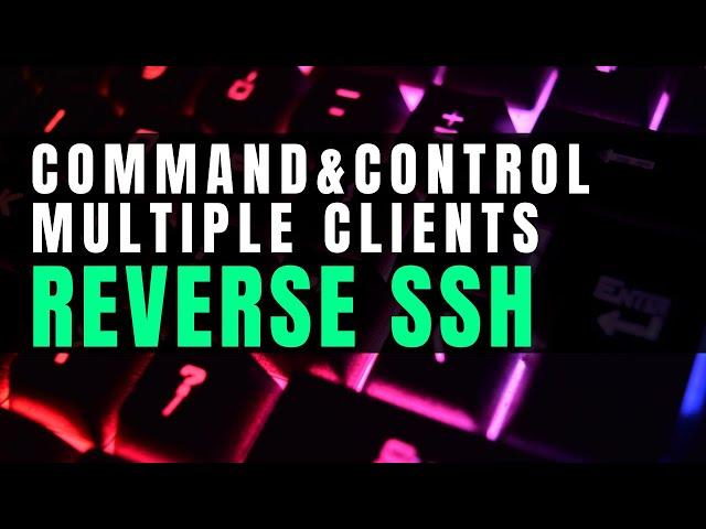 Hacking with Reverse SSH for Command & Control