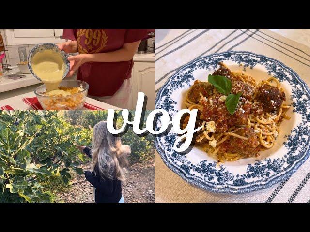 an ordinary day at my fig farm and cooking cozy meals   | Greek vlog |