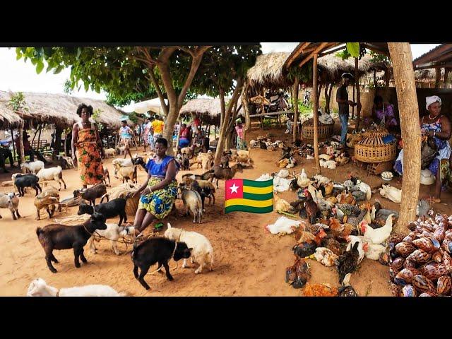 Largest rural  village market day in Vogan Togo west Africa  Cost of living in an African village