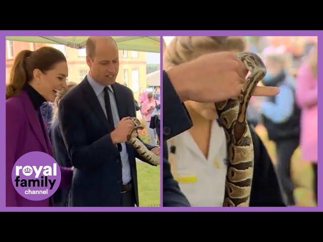 William Holds Snake, Saying George Will Be 'So Upset'