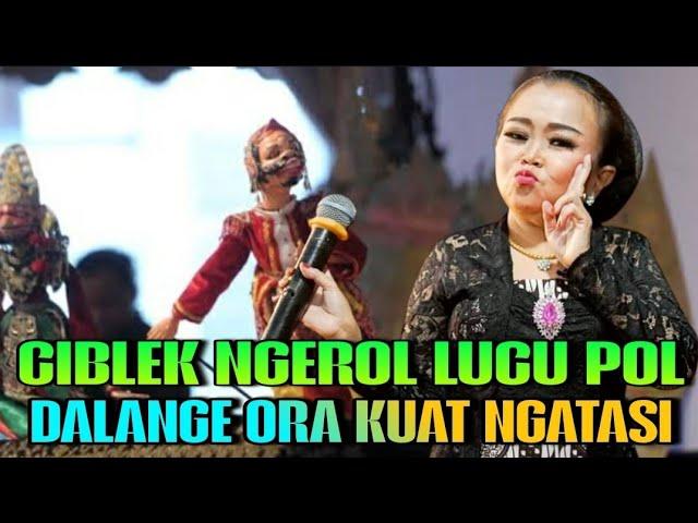 Ciblek Ngeroll Lucu Poll Dalange Sampek Bingung Ngatasi